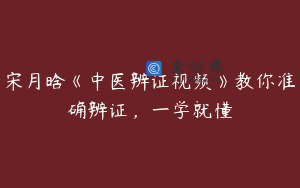 宋月晗《中医辨证视频》教你准确辨证，一学就懂