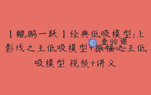 【鲲鹏一跃】经典低吸模型:上影线之王低吸模型+振幅之王低吸模型 视频+讲义
