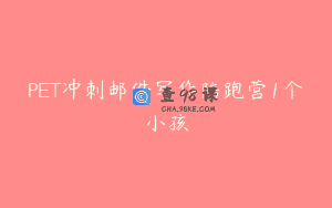 PET冲刺邮件写作陪跑营1个小孩