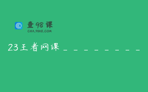 23王者网课________