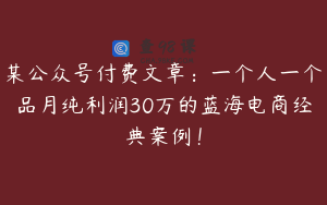 某公众号付费文章：一个人一个品月纯利润30万的蓝海电商经典案例！