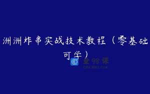 洲洲炸串实战技术教程（零基础可学）