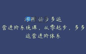 海神・拼多多运营进阶系统课，从零起步，多多运营进阶体系