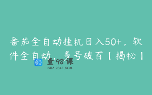 番茄全自动挂机日入50+,软件全自动,多号破百【揭秘】