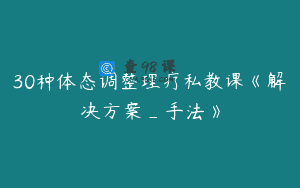 30种体态调整理疗私教课《解决方案_手法》