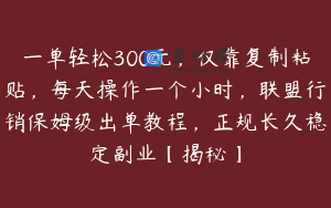一单轻松300元，仅靠复制粘贴，每天操作一个小时，联盟行销保姆级出单教程，正规长久稳定副业【揭秘】