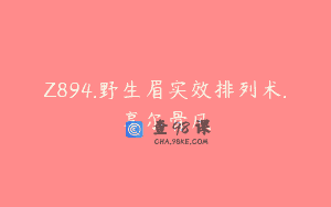 Z894.野生眉实效排列术.享尔骨风