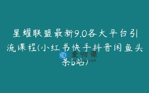 星耀联盟最新9.0各大平台引流课程(小红书快手抖音闲鱼头条b站)