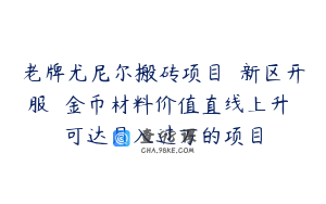 老牌尤尼尔搬砖项目  新区开服  金币材料价值直线上升 可达月入过万的项目