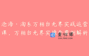 沧海·淘系万相台无界实战运营课，万相台无界实操全案例解析