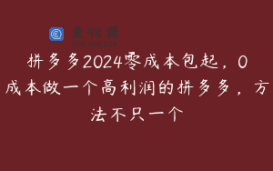 拼多多2024零成本包起，0成本做一个高利润的拼多多，方法不只一个