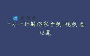一方一针解伤寒音频+视频 娄绍昆