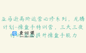亚马逊高阶运营必修系列，龙腾计划-操盘手特训营，三天三夜特训 全面提升操盘手能力