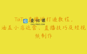 TikTok直播间打造教程，涵盖小店运营、直播技巧及短视频制作