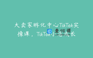 大卖家孵化中心TikTok实操课，TikTok小店成长