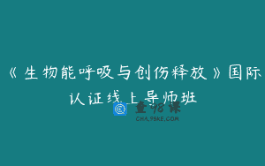 《生物能呼吸与创伤释放》国际认证线上导师班