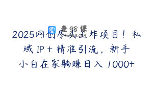 2025网创尽头王炸项目！私域 IP + 精准引流，新手小白在家躺赚日入 1000+