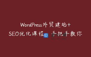 WordPress外贸建站+SEO优化课程，手把手教你