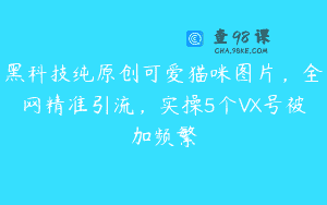 黑科技纯原创可爱猫咪图片，全网精准引流，实操5个VX号被加频繁