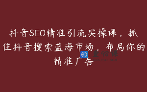 抖音SEO精准引流实操课，抓住抖音搜索蓝海市场，布局你的精准广告