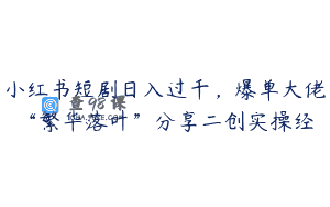 小红书短剧日入过千，爆单大佬“繁华落叶”分享二创实操经