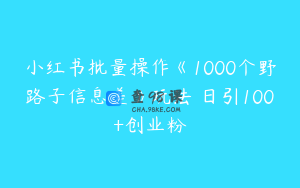 小红书批量操作《1000个野路子信息差》玩法 日引100+创业粉