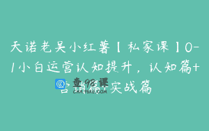 天诺老吴小红薯【私家课】0-1小白运营认知提升，认知篇+营销篇+实战篇