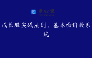 成长股实战法则，基本面价投系统