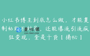 小红书博主到底怎么做，才能复制粘贴不封号，还能爆流引流疯狂变现，全是干货【揭秘】