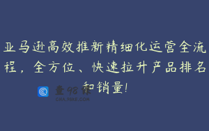 亚马逊高效推新精细化运营全流程，全方位、快速拉升产品排名和销量!