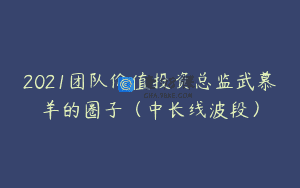 2021团队价值投资总监武慕羊的圈子（中长线波段）