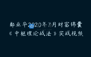都业华2020年7月财富锦囊《中枢理论战法》实战视频