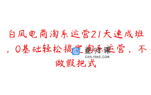 白凤电商淘系运营21天速成班，0基础轻松搞定淘系运营，不做假把式