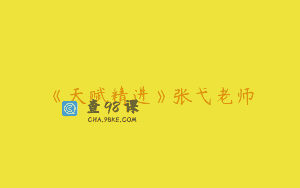 《天赋精进》张弋老师