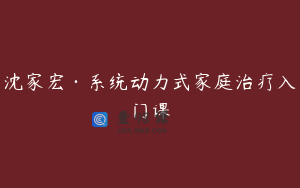 沈家宏·系统动力式家庭治疗入门课