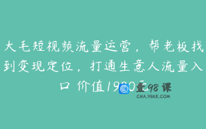 大毛短视频流量运营，帮老板找到变现定位，打通生意人流量入口 价值1980元