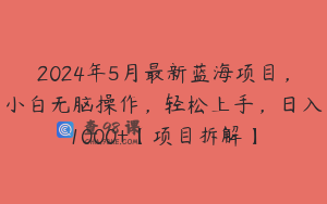 2024年5月最新蓝海项目，小白无脑操作，轻松上手，日入1000+【项目拆解】