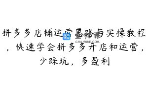 拼多多店铺运营思路与实操教程，快速学会拼多多开店和运营，少踩坑，多盈利