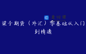 梁子期货（外汇）零基础从入门到精通