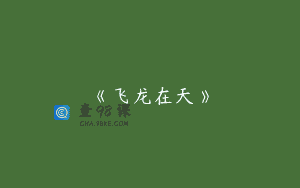 《飞龙在天》