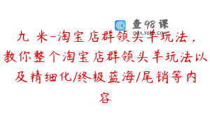 九栢米-淘宝店群领头羊玩法，教你整个淘宝店群领头羊玩法以及精细化/终极蓝海/尾销等内容