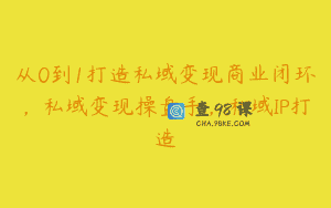 从0到1打造私域变现商业闭环，私域变现操盘手，私域IP打造
