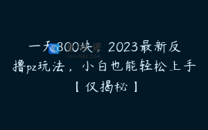 一天800块，2023最新反撸pz玩法，小白也能轻松上手【仅揭秘】