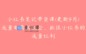 小红书笔记带货课(更新9月)流量电商新机会，抓住小红书的流量红利