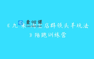 《九栢米-淘宝店群领头羊玩法》陪跑训练营