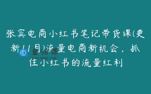 张宾电商小红书笔记带货课(更新11月)流量电商新机会，抓住小红书的流量红利