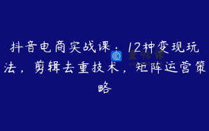 抖音电商实战课：12种变现玩法，剪辑去重技术，矩阵运营策略