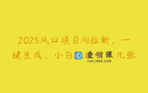 2025风口项目AI拉新，一键生成，小白轻松日入几张