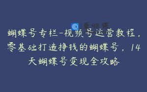 蝴蝶号专栏-视频号运营教程，零基础打造挣钱的蝴蝶号，14天蝴蝶号变现全攻略