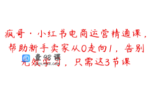 疯哥·小红书电商运营精通课,帮助新手卖家从0走向1,告别无效学习,只需这3节课